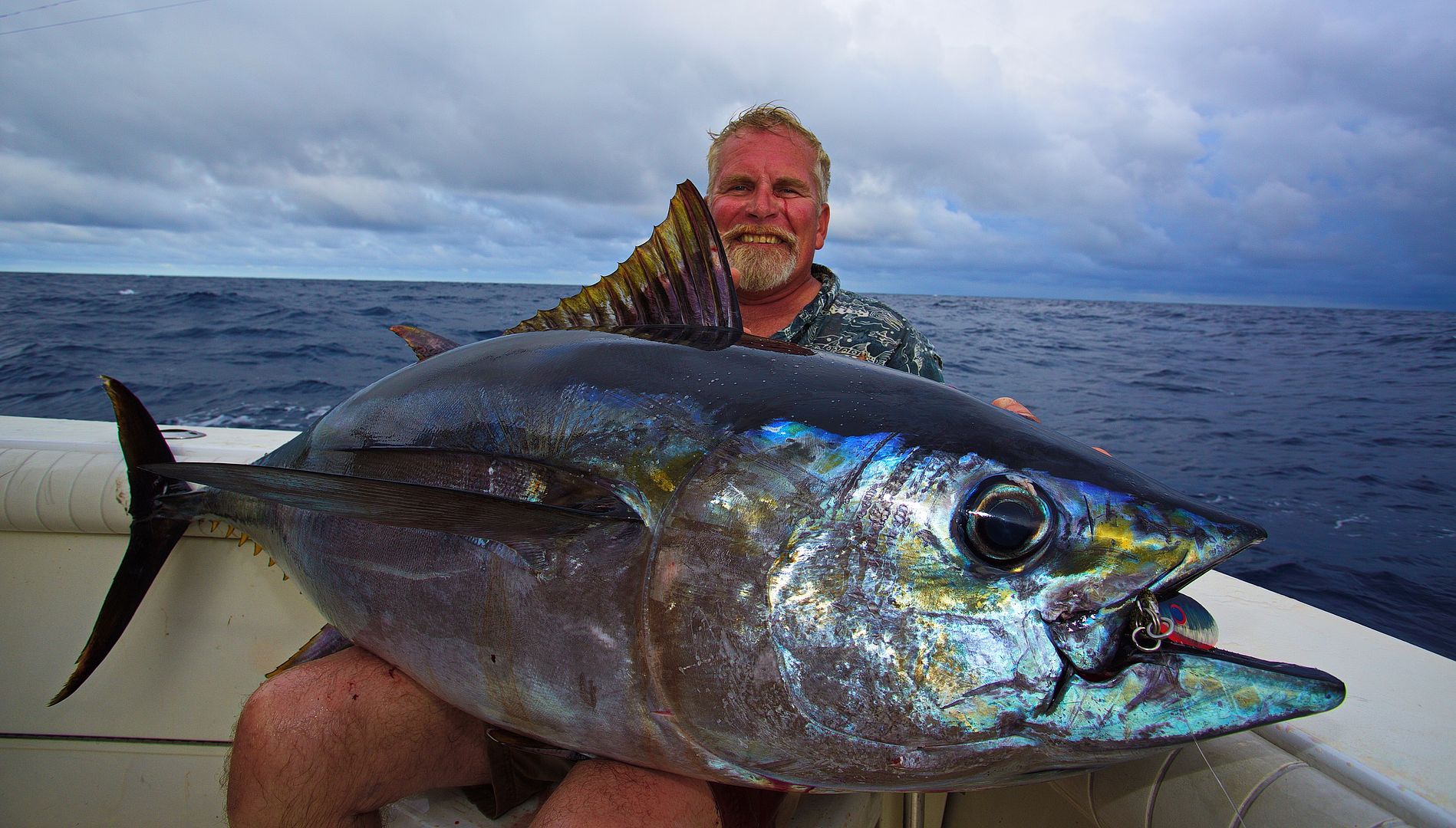 Big Eye Tuna, Wilmington Canyon August 2015 Bloodydecks